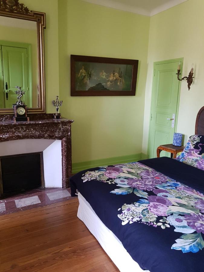 Chez Louise Bed & Breakfast Albi Luaran gambar