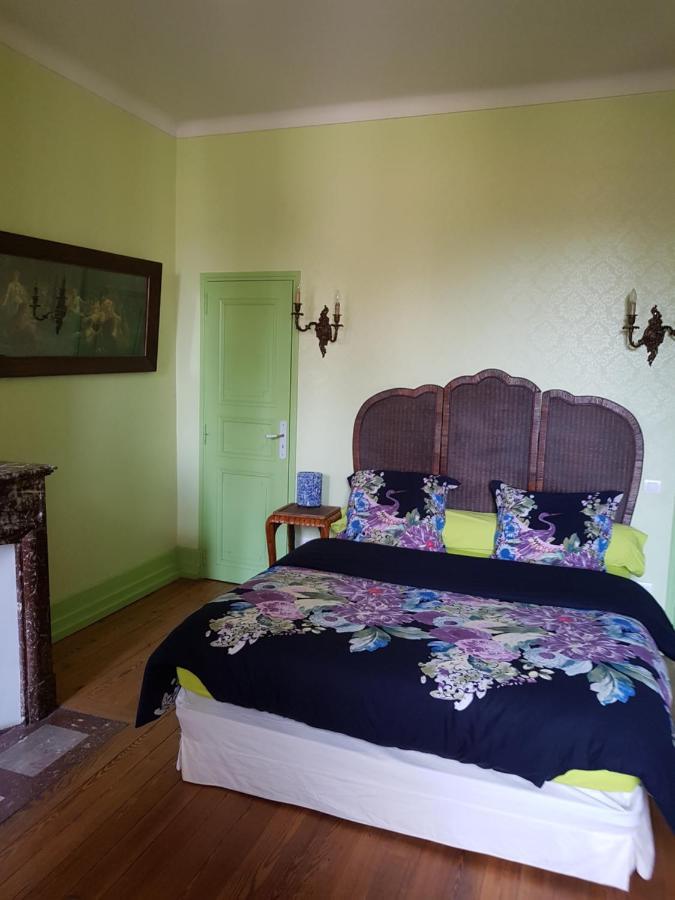 Chez Louise Bed & Breakfast Albi Luaran gambar